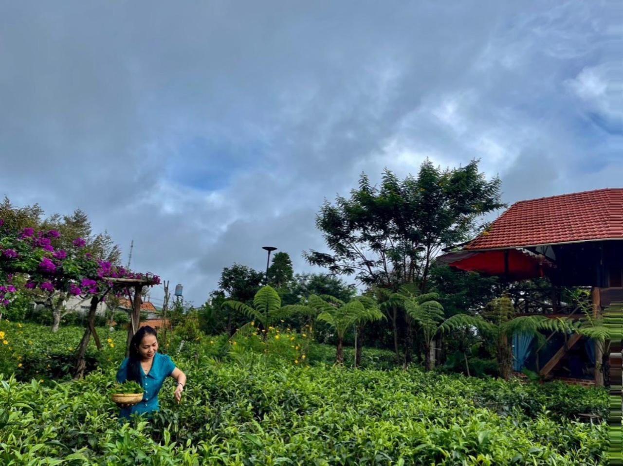 바오록 Tea Garden House 빌라 외부 사진