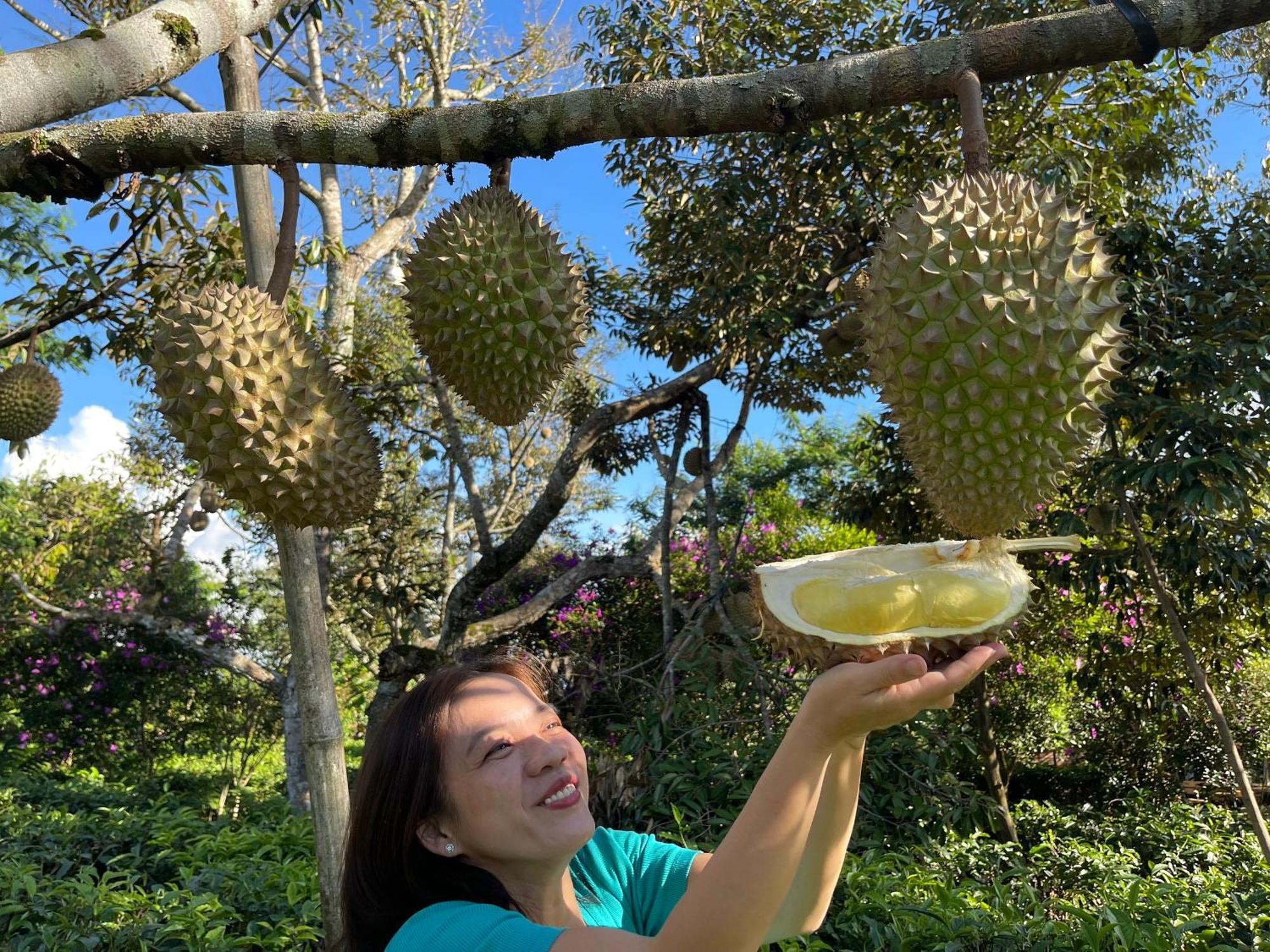 바오록 Tea Garden House 빌라 외부 사진