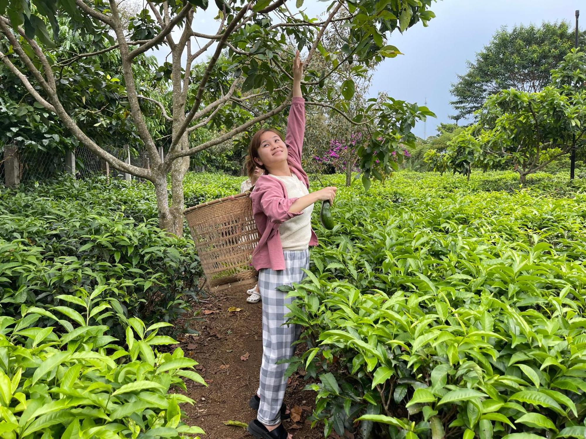 바오록 Tea Garden House 빌라 외부 사진