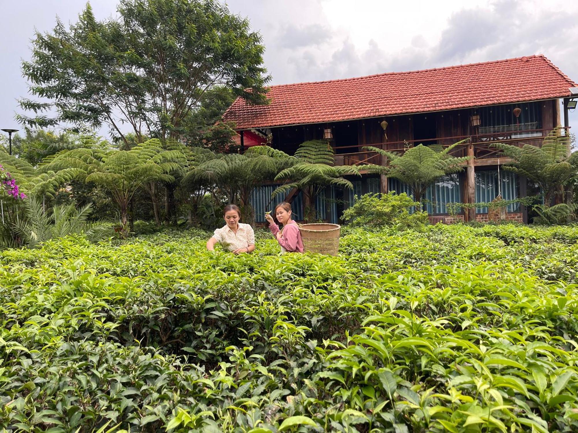 바오록 Tea Garden House 빌라 외부 사진