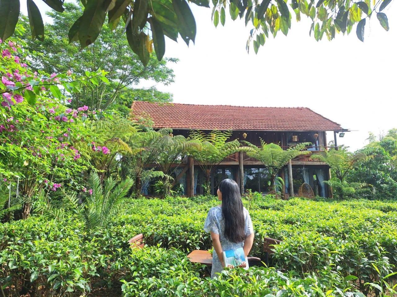 바오록 Tea Garden House 빌라 외부 사진
